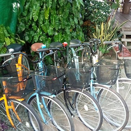 Champa Guesthouse Muang Không 外观 照片